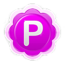 Pamela für Skype